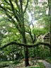 DSC12821r.jpg