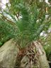 DSC12969r.jpg