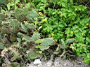 DSC12979r.jpg