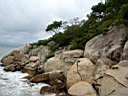 DSC12982r.jpg
