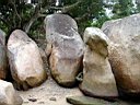 DSC12997r.jpg