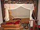 DSC13151x.jpg