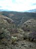 DSCF0079.jpg