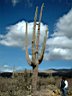 DSCF0099.jpg