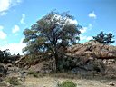 DSCF0154.jpg