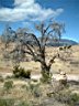 DSCF0164.jpg