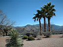 DSCF0211.jpg