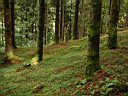 DSCF1239.jpg