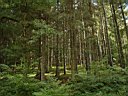 DSCF1273.jpg