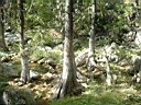 DSCF0020.jpg