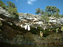 DSCF0121.jpg