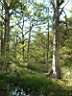 DSCF0128.jpg