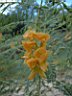 DSCF0364.jpg