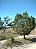 DSCF0641.jpg