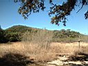 DSCF0653.jpg