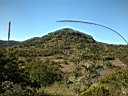 DSCF0681.jpg