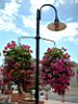 DSCF0298.jpg
