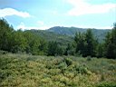 DSCF0317.jpg