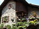 DSC11039.jpg