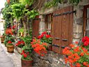 DSC11096r.jpg