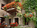 DSC11099r.jpg