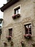 DSC11111r.jpg